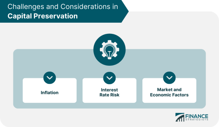Capital Growth vs. Capital Preservation