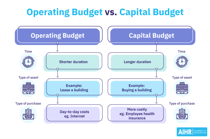 Capital expenditure accounting financial efinancemanagement business explain efficiency old