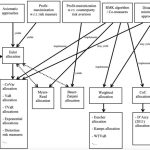 Capital reducing liquidity cash priorities interest returning shareholders improving allocation strong structure