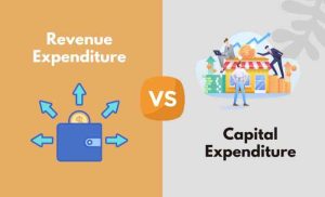 Expenditure revenue distinguish